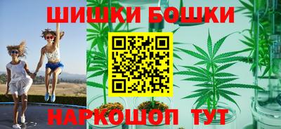 шишки Можайск